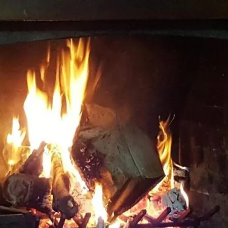 In With Lush Garden Villa *